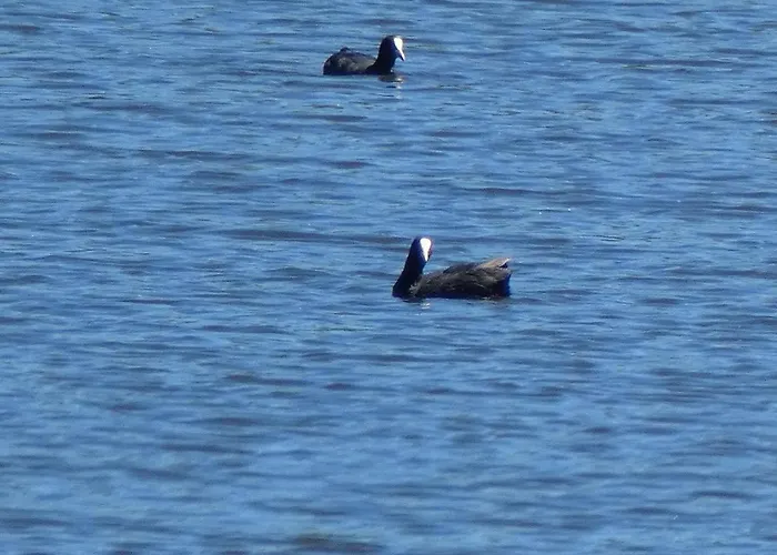 Dieci Tornesi Feriehus Montalbano Elicona